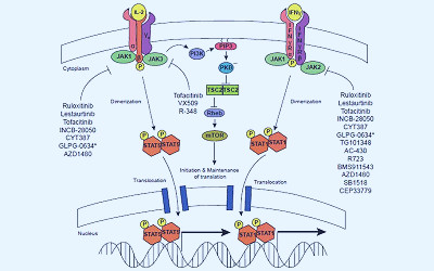 Xeljanz XR (tofacitinib citrate) Modified Release Tablets For the Treatment  of Rheumatoid Arthritis - Clinical Trials Arena